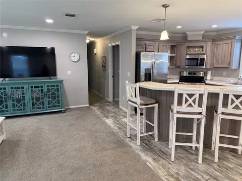 152 Red Bass Ln, Edgewater, FL 32141 photo 7
