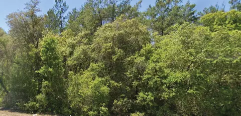 0 SE 309 Ave, Altoona, FL 32702