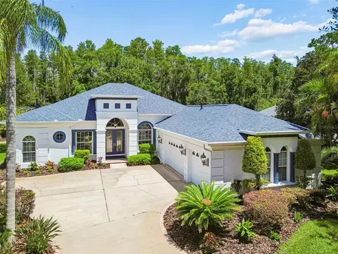 21105 Lake Vienna Dr, Land O Lakes, FL 34638
