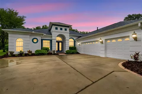21105 Lake Vienna Dr, Land O Lakes, FL 34638