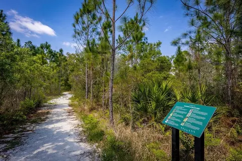 View/Area - 6681 Rucksack Rd, Saint Cloud, FL 34771 photo 5 of 11
