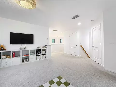 Other - 319 Arbor Pointe Ave, Minneola, FL 34715 photo 8 of 15