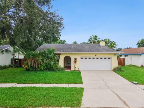 11606 Painted Hills Ln, Tampa, FL 33624