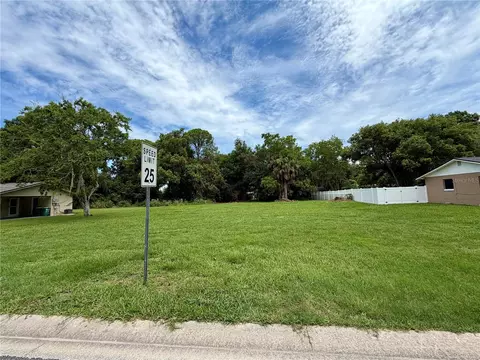Virginia Avenue, Eustis, FL 32726 photo 6