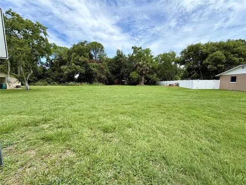 Virginia Avenue, Eustis, FL 32726 photo 4