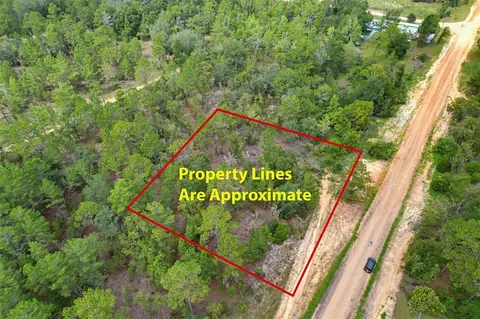 515 Interlachen Blvd, Interlachen, FL 32148 photo 2