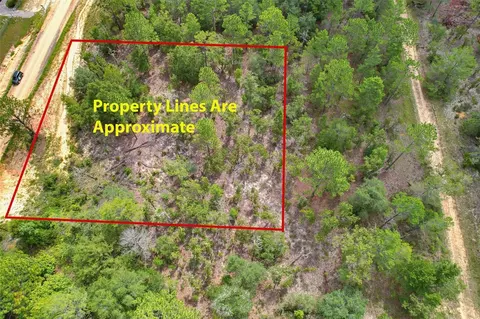 515 Interlachen Blvd, Interlachen, FL 32148 photo 3