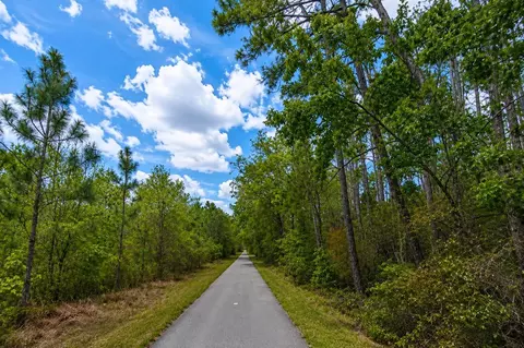 00 Van Fleet Trl, Polk City, FL 33868