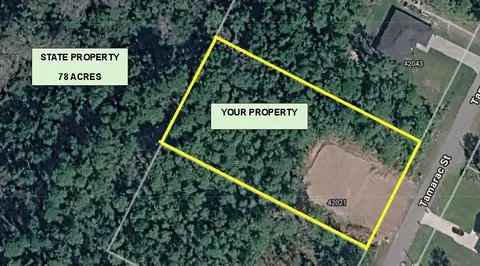View/Area - 42021 Tamarac St, Eustis, FL 32736 photo 1 of 1