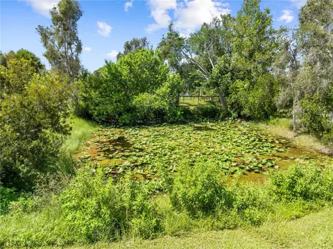 Other - 1868 Druliner Rd, Saint Cloud, FL 34771 photo 18 of 18