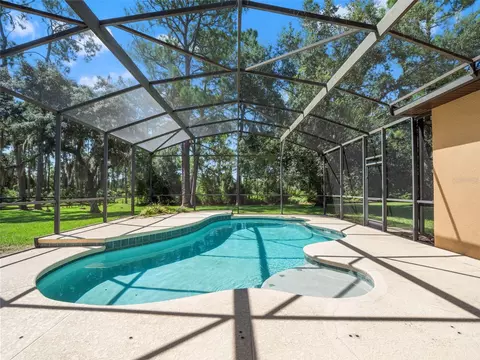 Exterior - 21312 Marsh View Ct, Clermont, FL 34715 photo 9 of 13