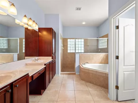 Bath - 21312 Marsh View Ct, Clermont, FL 34715 photo 8 of 12