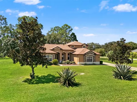 Exterior - 21312 Marsh View Ct, Clermont, FL 34715 photo 12 of 13