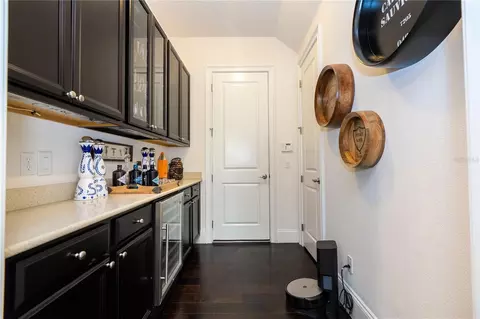 Entry Way - 17526 Black Rail St, Windermere, FL 34786 photo 7 of 10