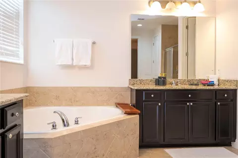 Bath - 17526 Black Rail St, Windermere, FL 34786 photo 11 of 12