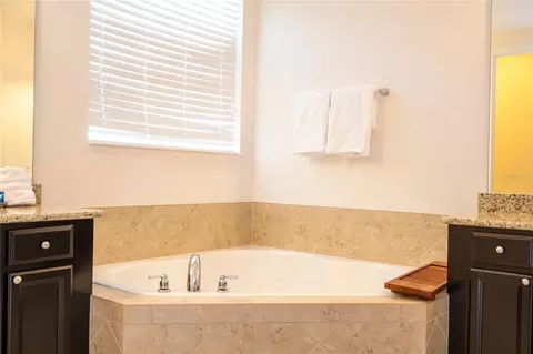 Bath - 17526 Black Rail St, Windermere, FL 34786 photo 7 of 12