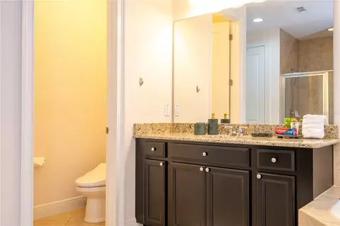 Bath - 17526 Black Rail St, Windermere, FL 34786 photo 9 of 12