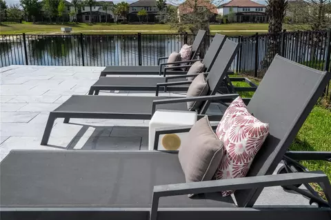 Exterior - 17526 Black Rail St, Windermere, FL 34786 photo 5 of 10