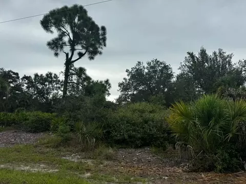 17459 Plains Ave, Port Charlotte, FL 33948