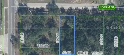 6 E Viola St, Avon Park, FL 33825 photo 2