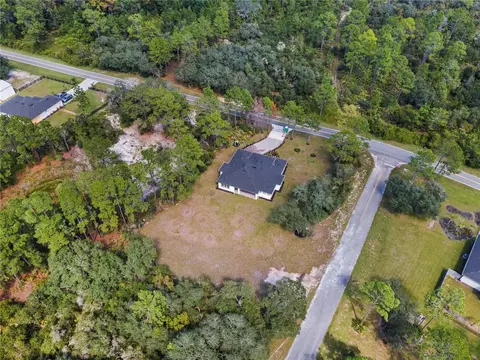 View/Area - 40401 Royal Trails Rd, Eustis, FL 32736 photo 7 of 8