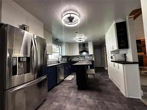 Kitchen - 925 E 10th Ave, Mount Dora, FL 32757 photo 6 of 6