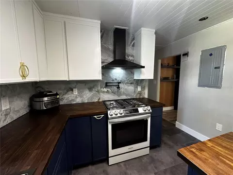 Kitchen - 925 E 10th Ave, Mount Dora, FL 32757 photo 3 of 6