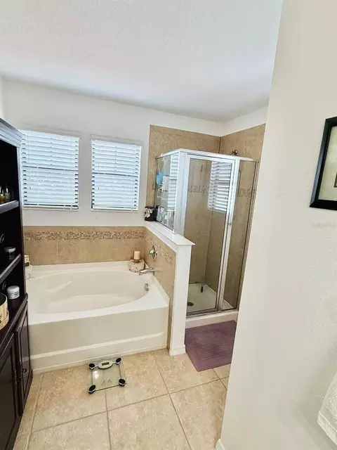 Bath - 338 Chickasaw Berry Rd, Ocoee, FL 34761 photo 2 of 4