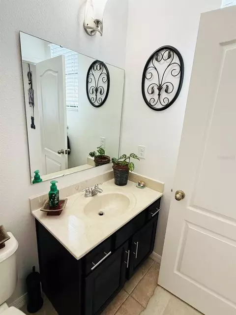 Bath - 338 Chickasaw Berry Rd, Ocoee, FL 34761 photo 4 of 4