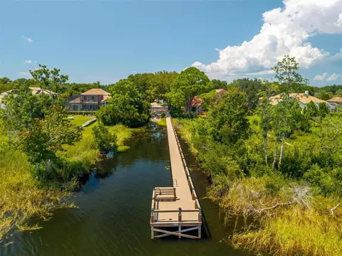 View/Area - 1070 Ceasars Ct, Mount Dora, FL 32757 photo 3 of 16