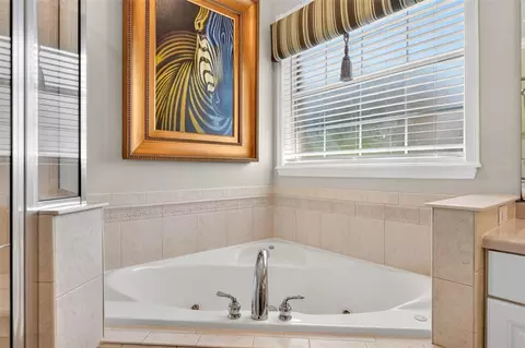 Bath - 1070 Ceasars Ct, Mount Dora, FL 32757 photo 9 of 12