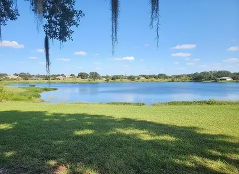14322 Lake Junietta Dr, Tavares, FL 32778