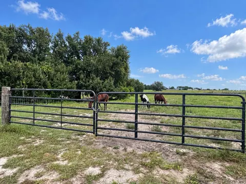 Mammoth Grove Road, Lake Wales, FL 33898