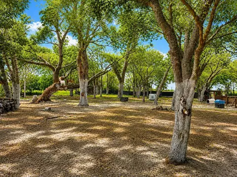 Mammoth Grove Road, Lake Wales, FL 33898