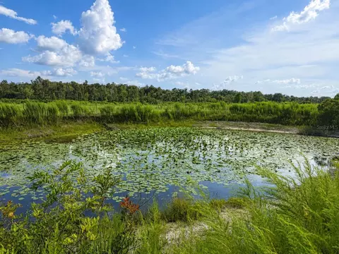 6368 E Sunrise Prairie Ln, Hernando, FL 34442 photo 15