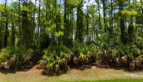 00 Kedgewick Ln, North Port, FL 34288