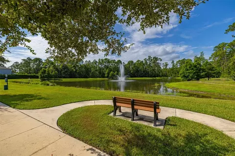 View/Area - 8291 Procida Isle Ln, Windermere, FL 34786 photo 4 of 5