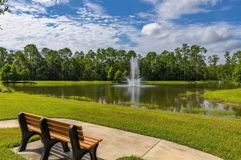View/Area - 8291 Procida Isle Ln, Windermere, FL 34786 photo 5 of 5