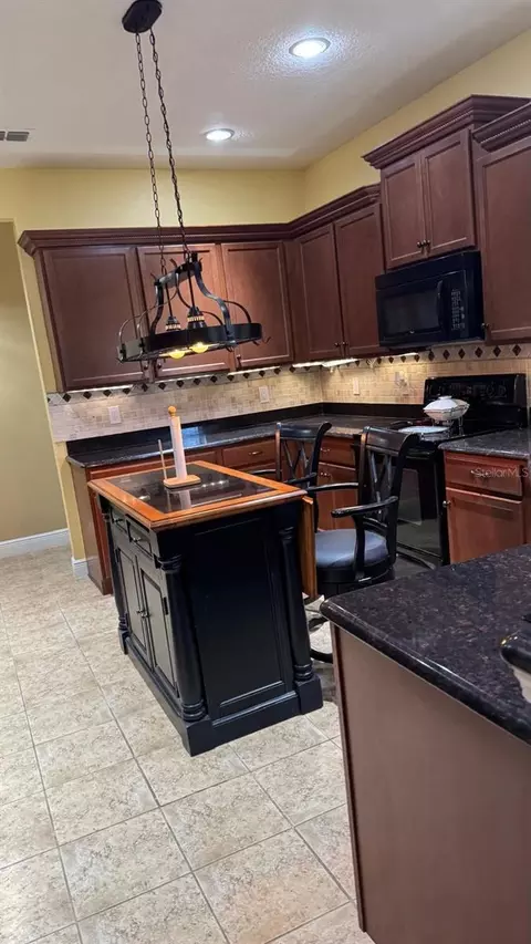 Kitchen - 5406 Sandy Shell Dr, Apollo Beach, FL 33572 photo 7 of 7