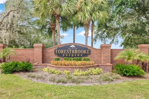 Other - 253 Beacon Pointe Dr, Ocoee, FL 34761 photo 5 of 5