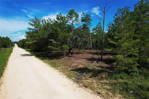 SE 6th Lane, Williston, FL 32696 photo 4