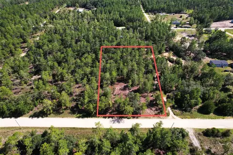 SE 6th Lane, Williston, FL 32696 photo 2