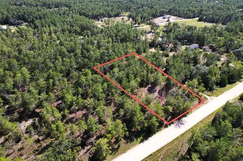 SE 6th Lane, Williston, FL 32696 photo 6