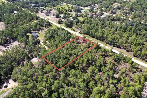 SE 6th Lane, Williston, FL 32696 photo 5