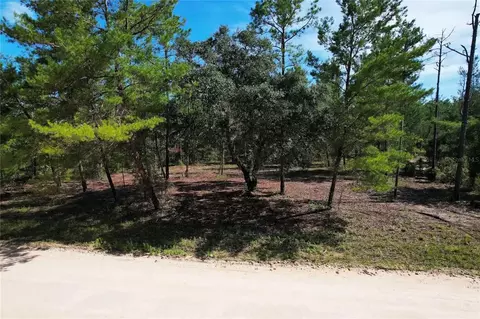 SE 6th Lane, Williston, FL 32696 photo 3