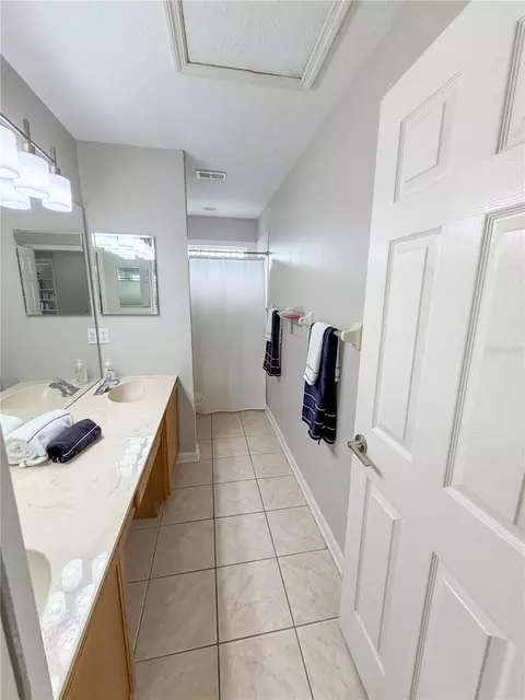 Bath - 10172 Windermere Chase Blvd, Gotha, FL 34734 photo 6 of 9