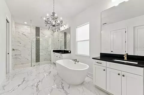Bath - 1113 Holstons Pointe Pl, Gotha, FL 34734 photo 1 of 2