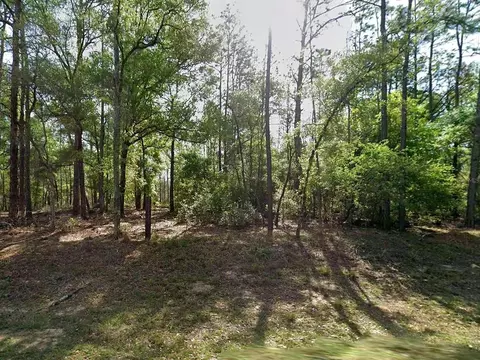 8319 N Yellowbird Ave, Citrus Springs, FL 34434