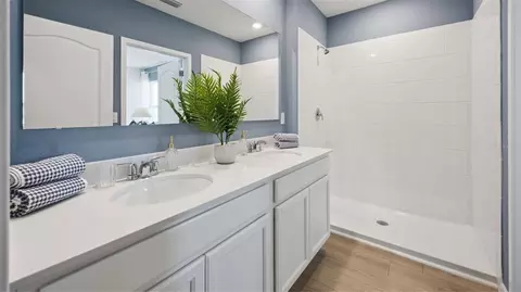 Bath - 3317 Spineywood Dr, Ocoee, FL 34761 photo 1 of 2