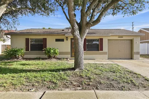 8305 Autumn Oak Ave, Port Richey, FL 34668